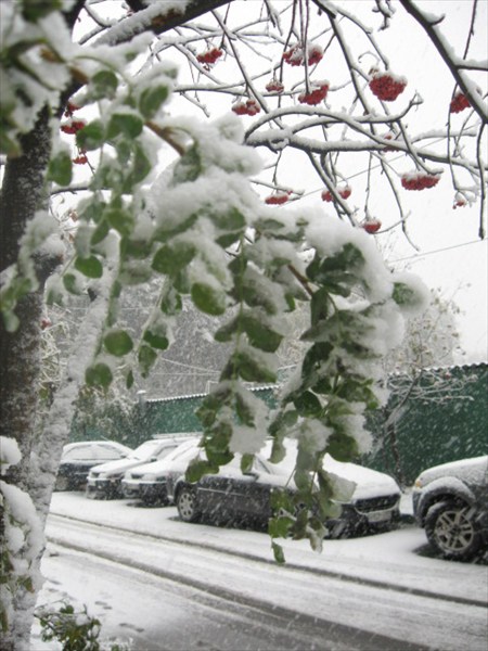 первый снег в Москве